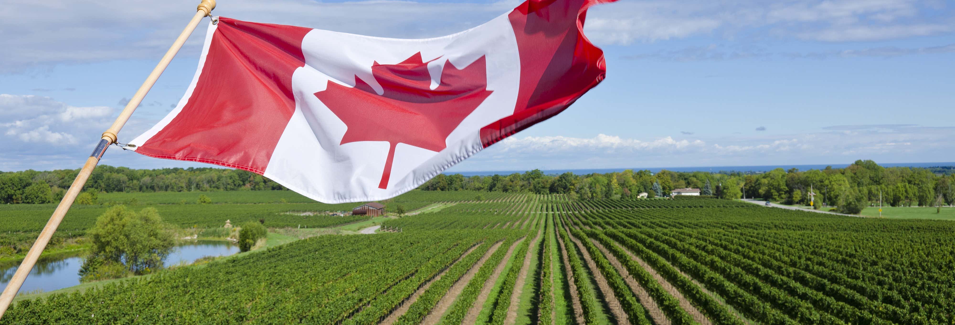 Excursiones de un día en Toronto