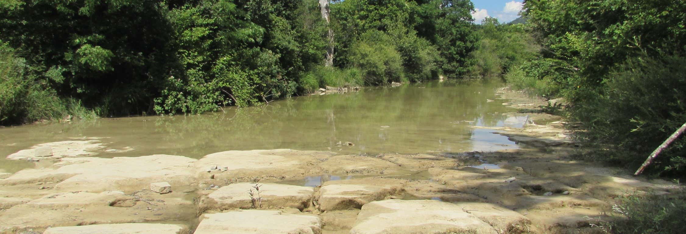 Accion y naturaleza en Portorož