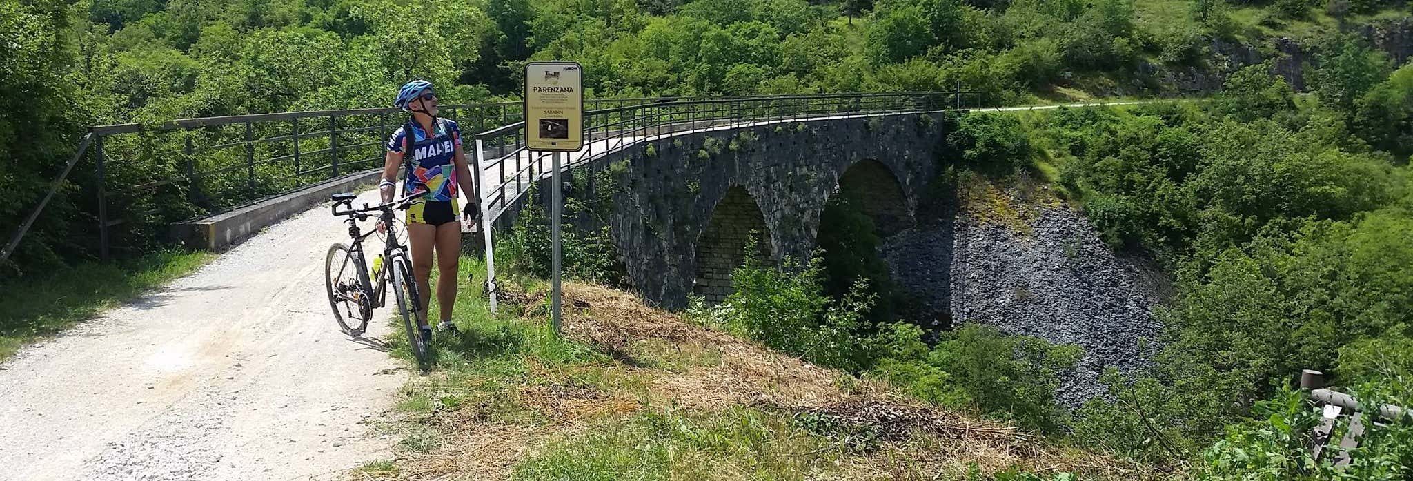 Visitas guiadas y free tours en Portorož