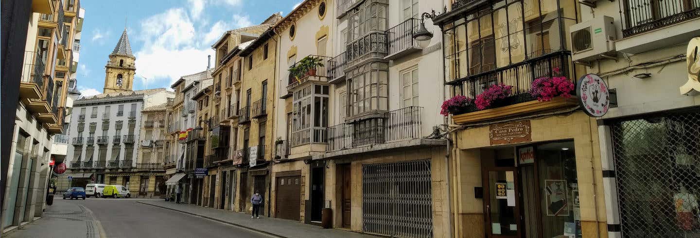 Visitas guiadas y free tours en Alcalá la Real