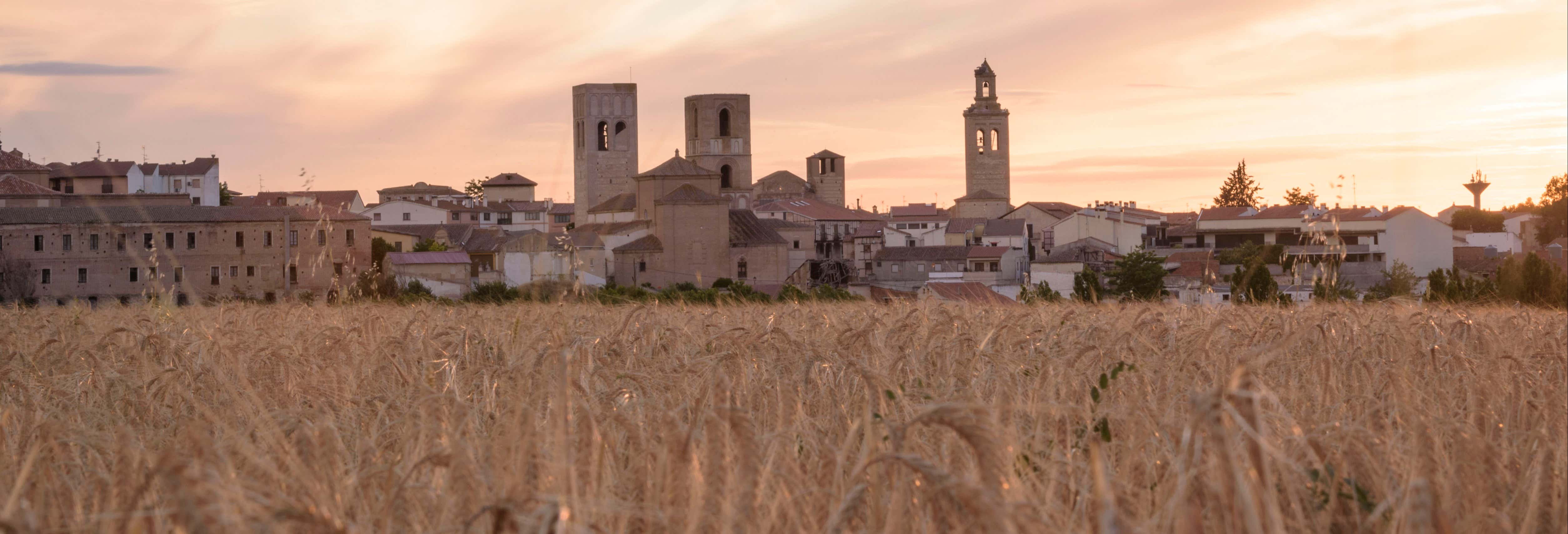 Visitas guiadas y free tours en Arévalo 