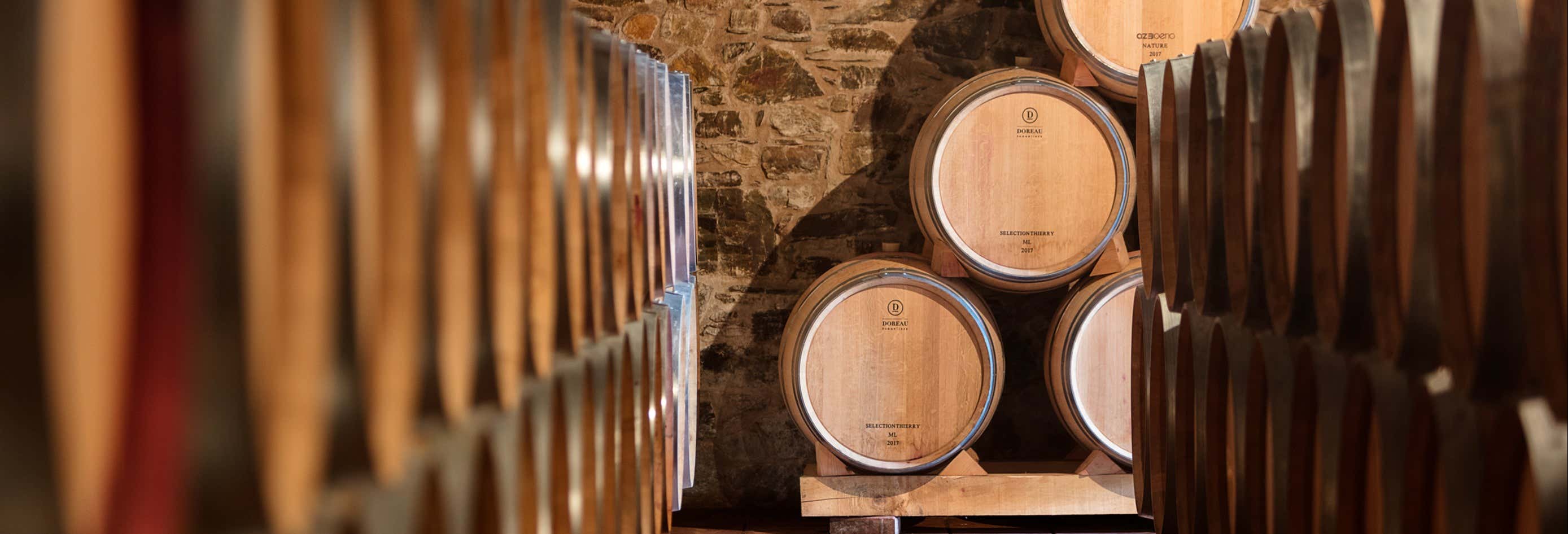 Gastronomía y enoturismo en Arganza