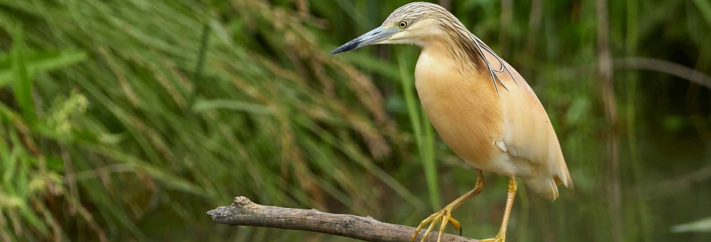 Accion y naturaleza en Badajoz