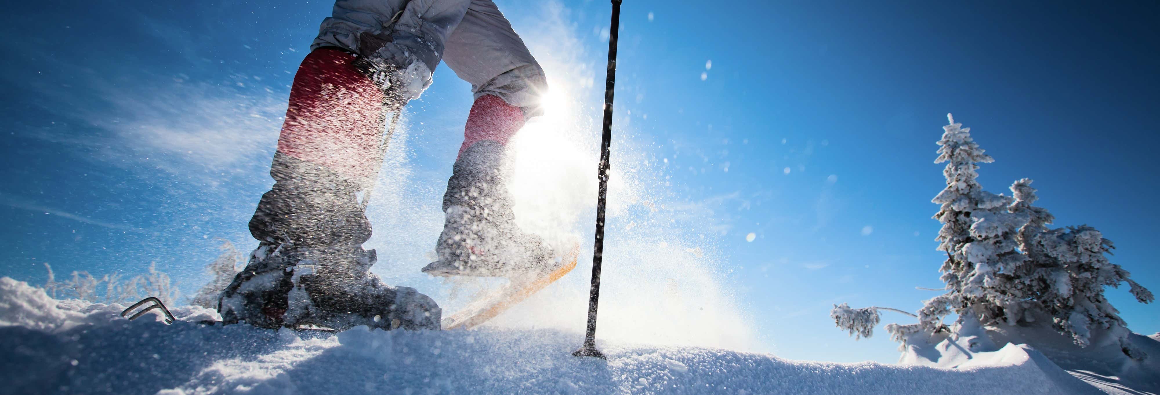 Accion y naturaleza en Bárcenas