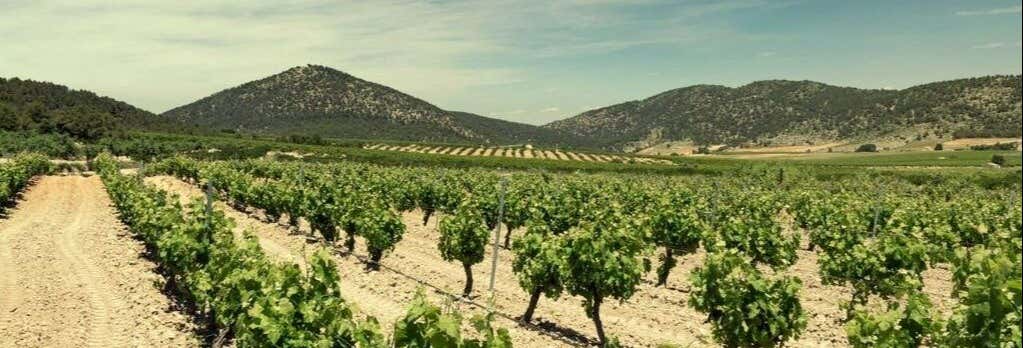 Gastronomía y enoturismo en Bullas