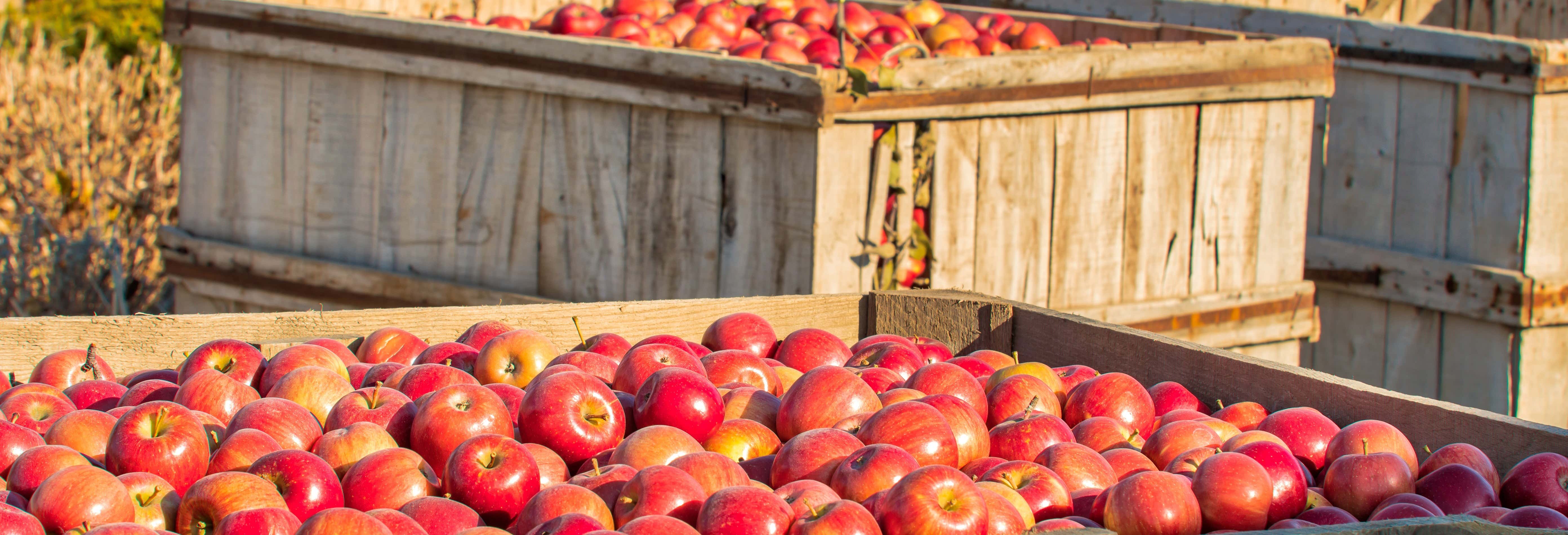 Gastronomía y enoturismo en Cabueñes