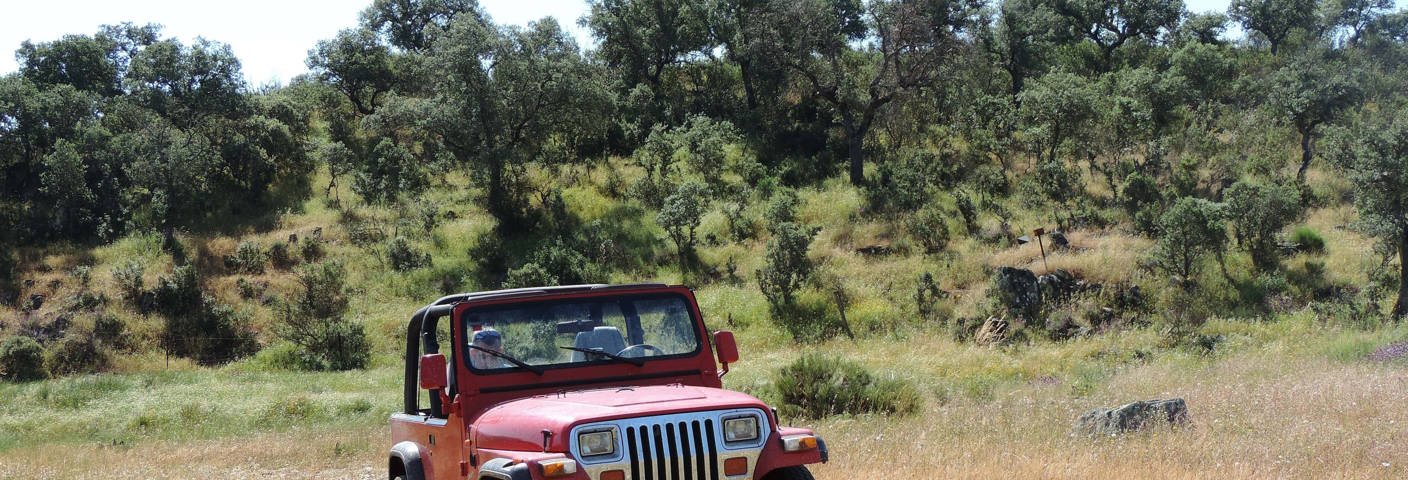 Accion y naturaleza en Cáceres