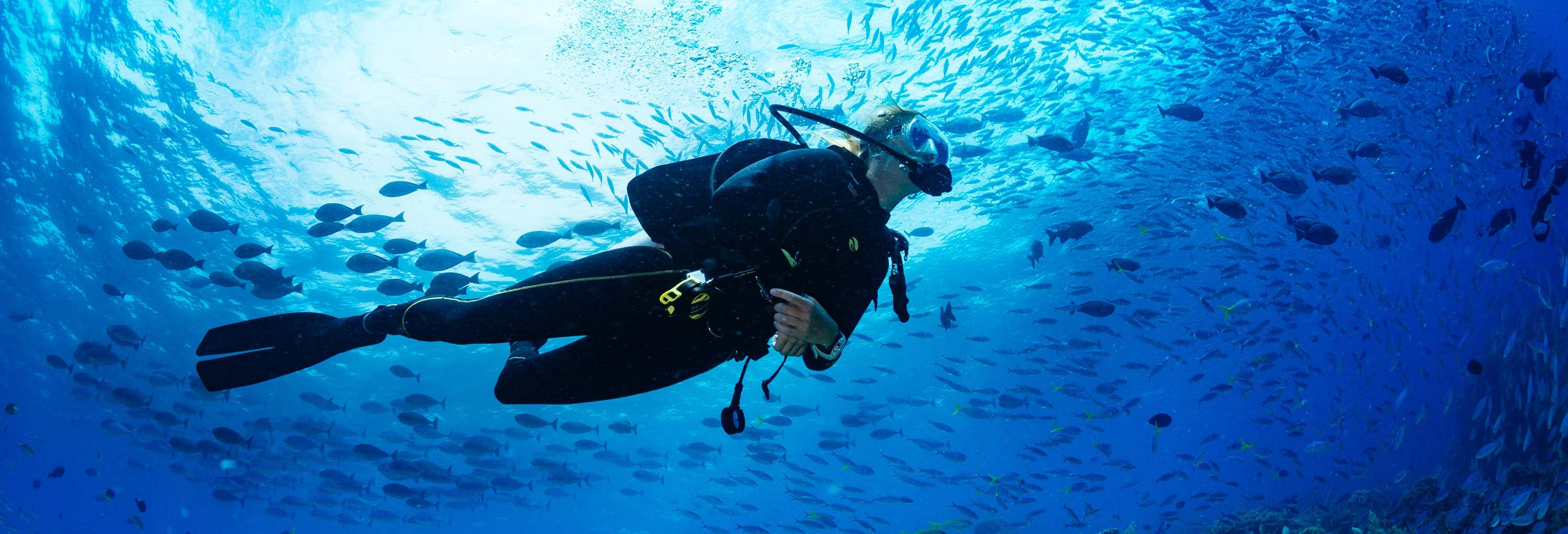 Excursiones de un día en Cala en Bosch