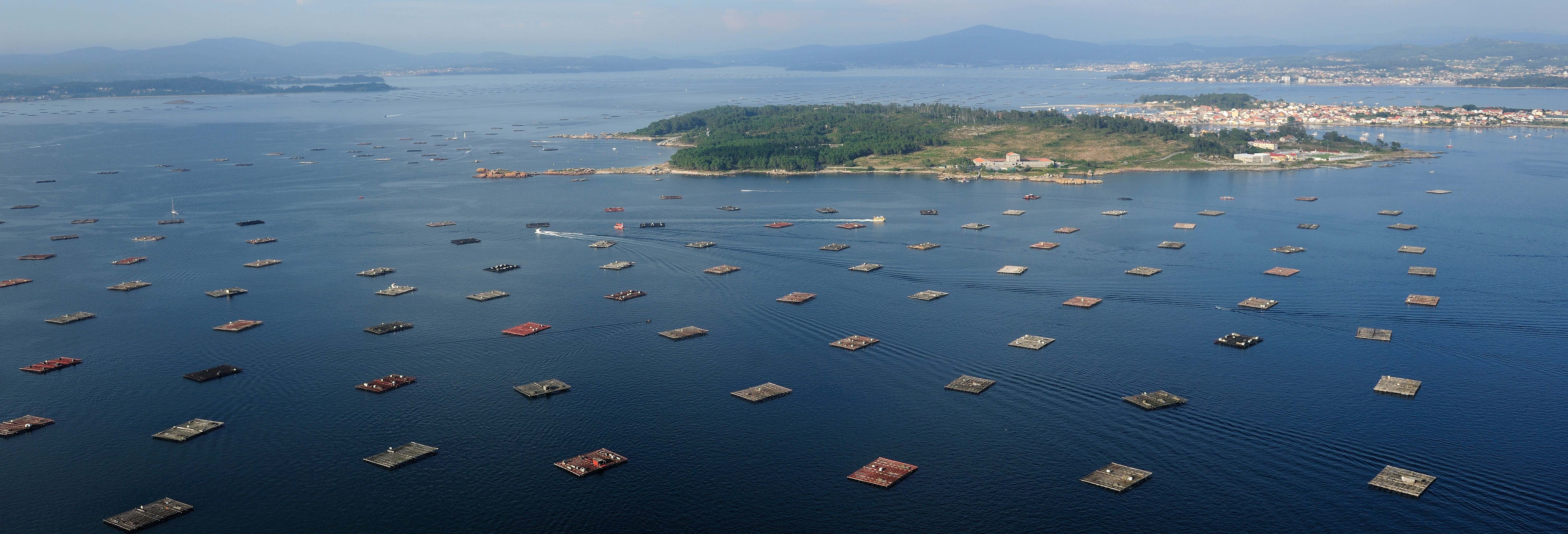 Gastronomía y enoturismo en Cangas de Morrazo