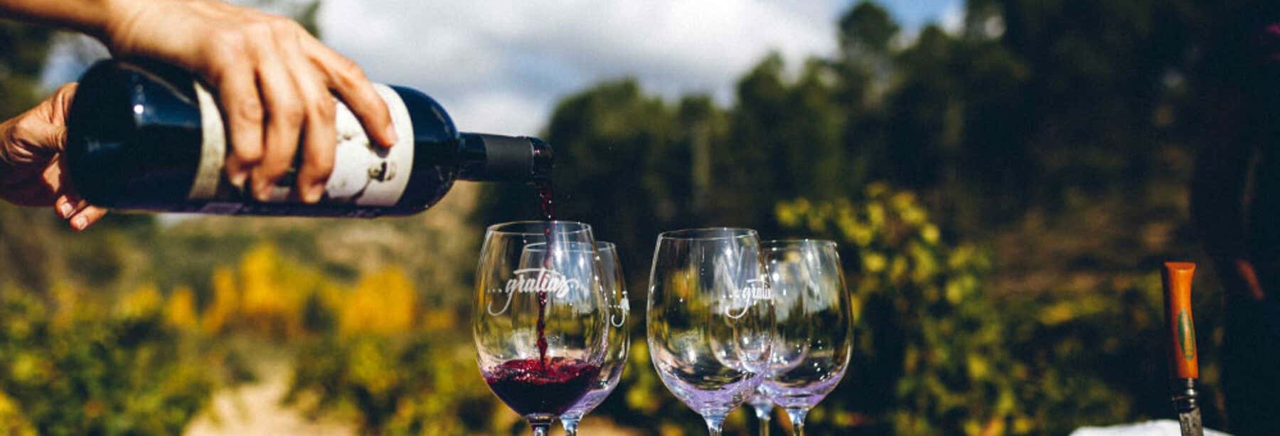 Gastronomía y enoturismo en Casas-Ibáñez