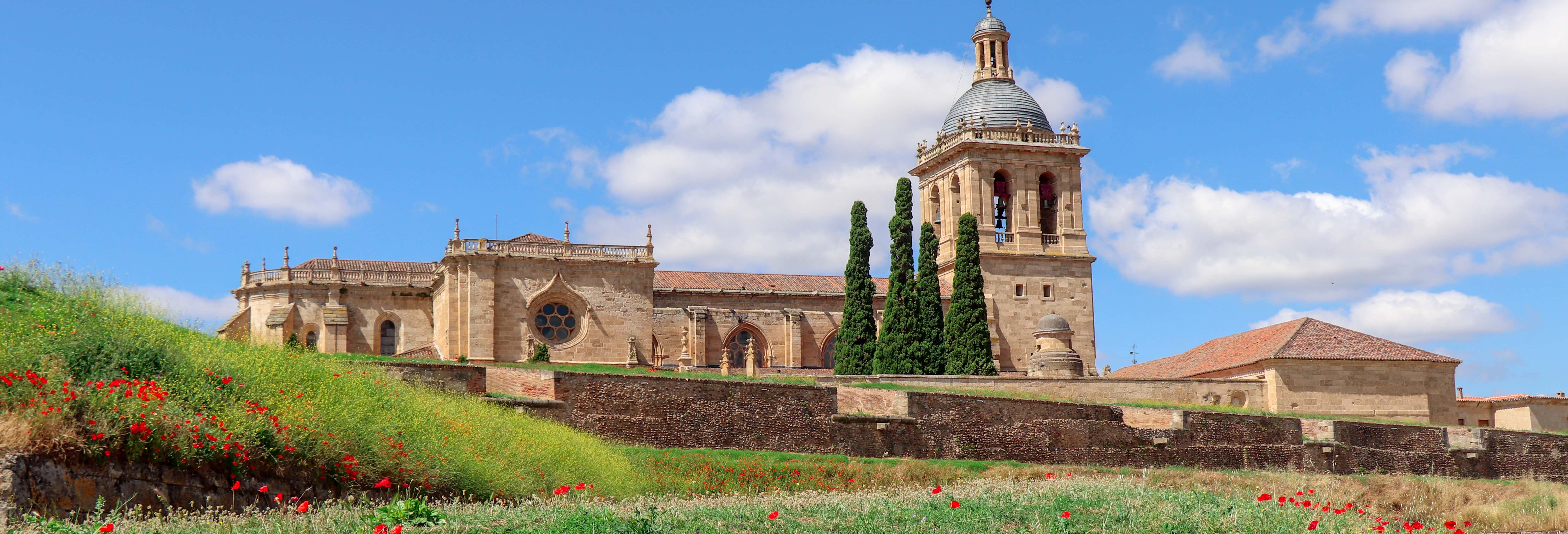 Visitas guiadas y free tours en Ciudad Rodrigo