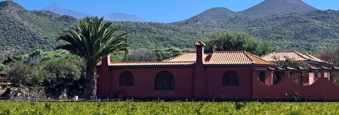 Gastronomía y enoturismo en Costa Adeje