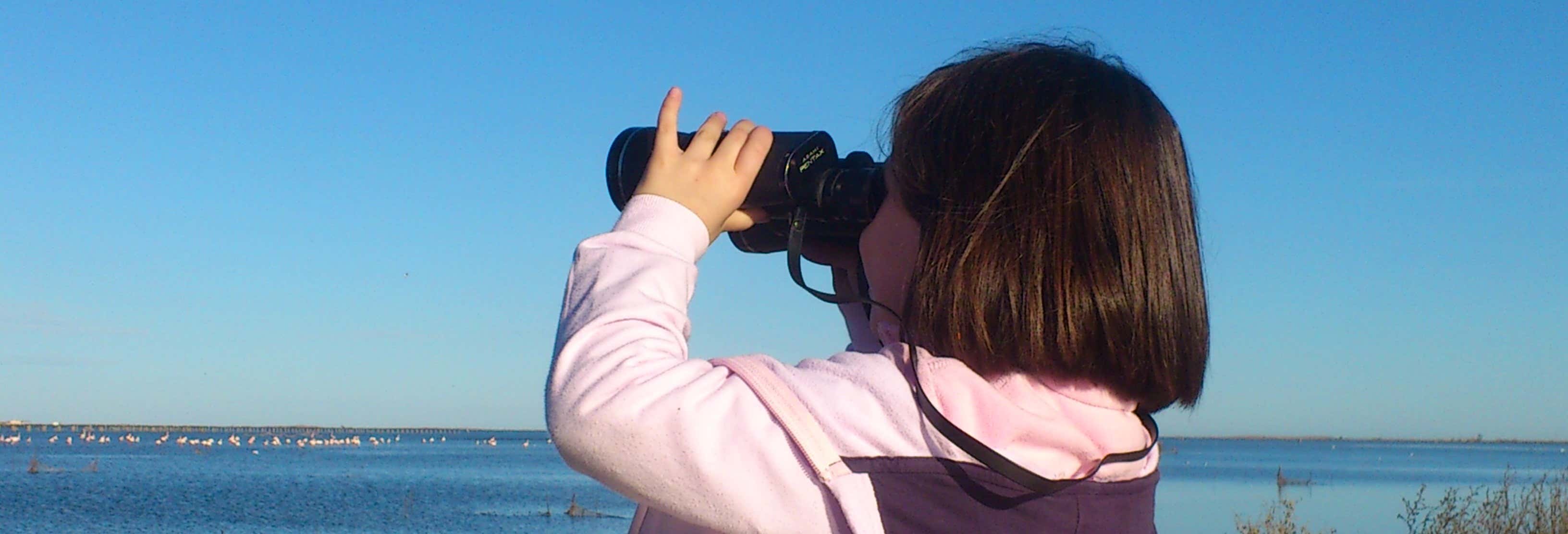 Visitas guiadas y free tours en Deltebre