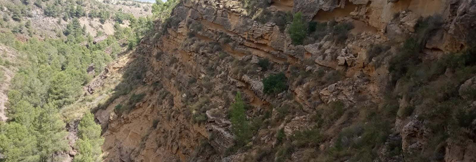 Accion y naturaleza en El Palmar