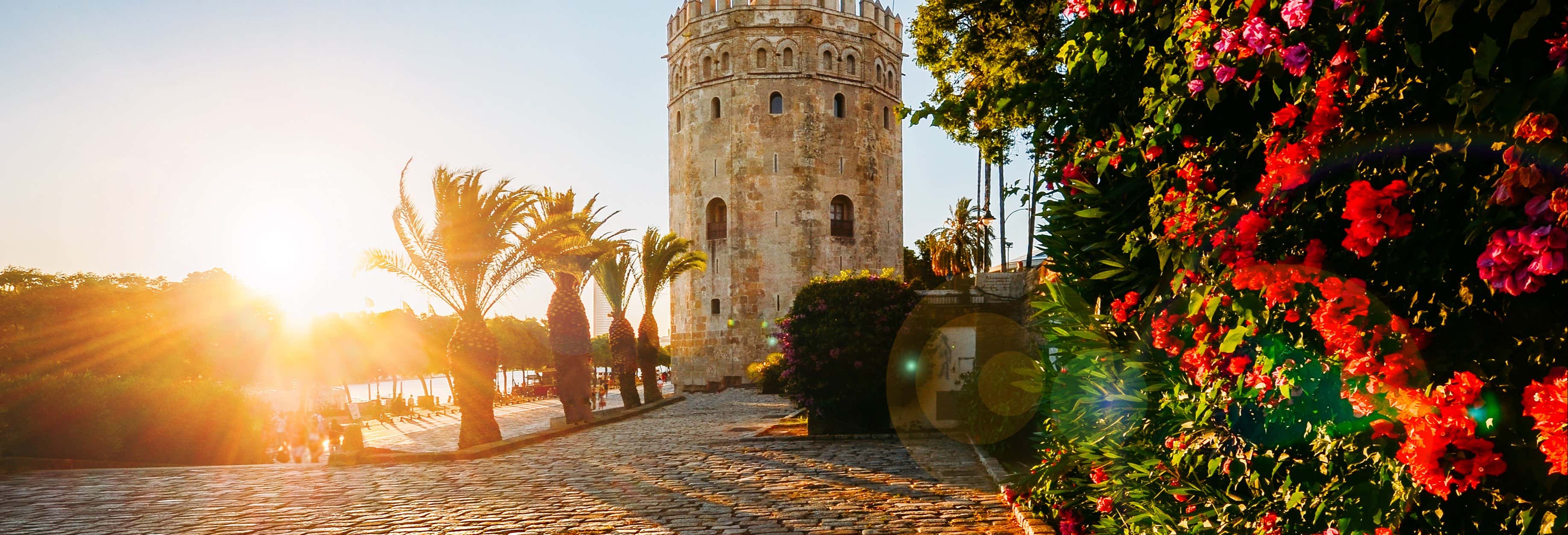 Excursiones de un día en El Rompido