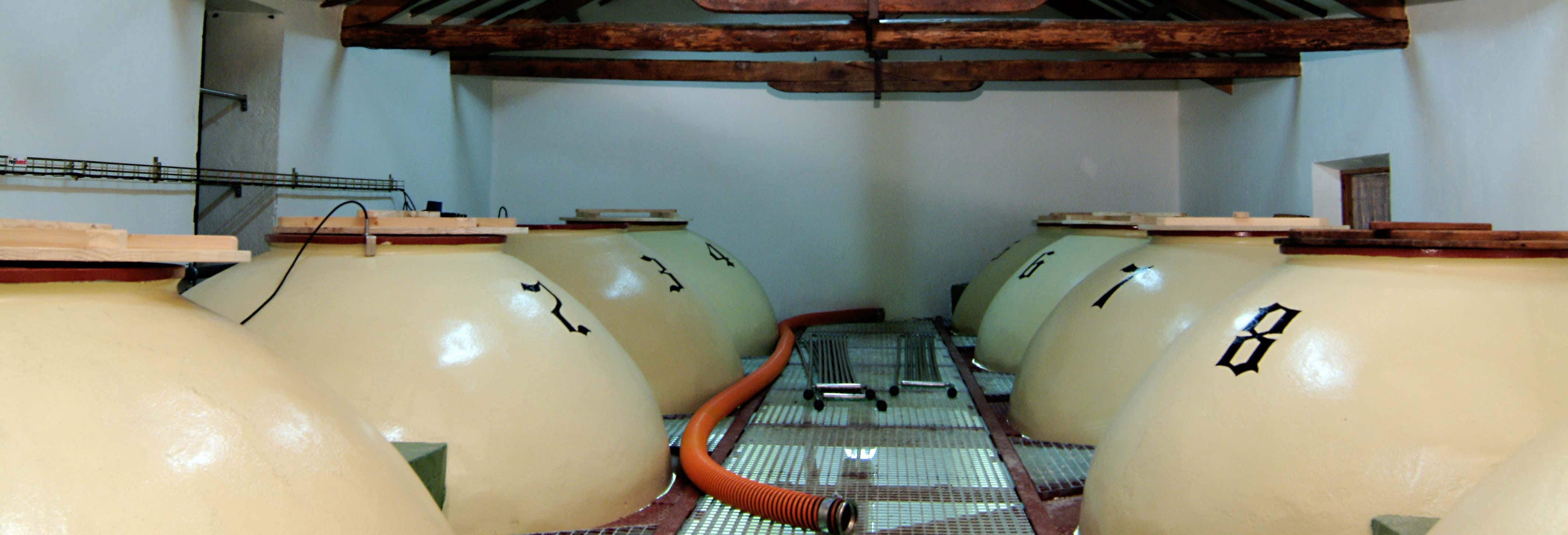 Gastronomía y enoturismo en El Toboso