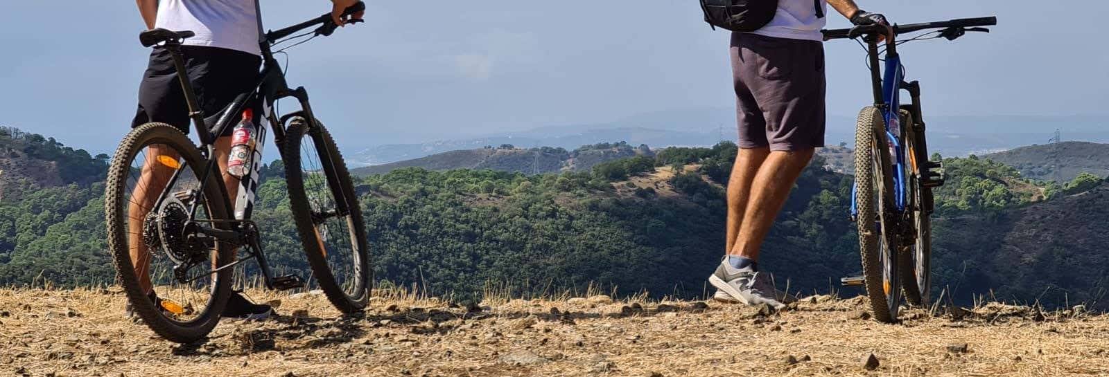 Visitas guiadas y free tours en Estepona