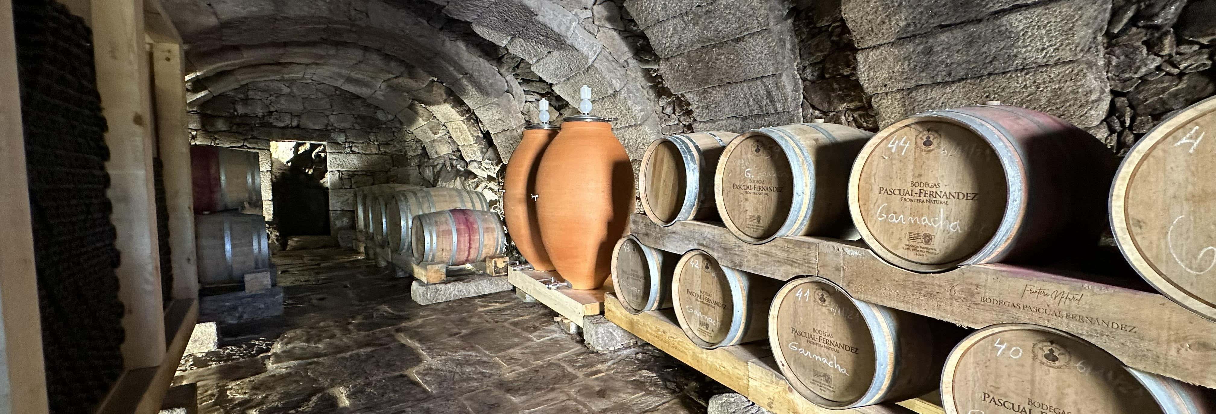 Gastronomía y enoturismo en Fermoselle