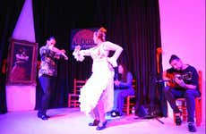 Granada Flamenco Show