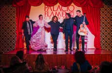 Flamenco Show at Palacio Flamenco