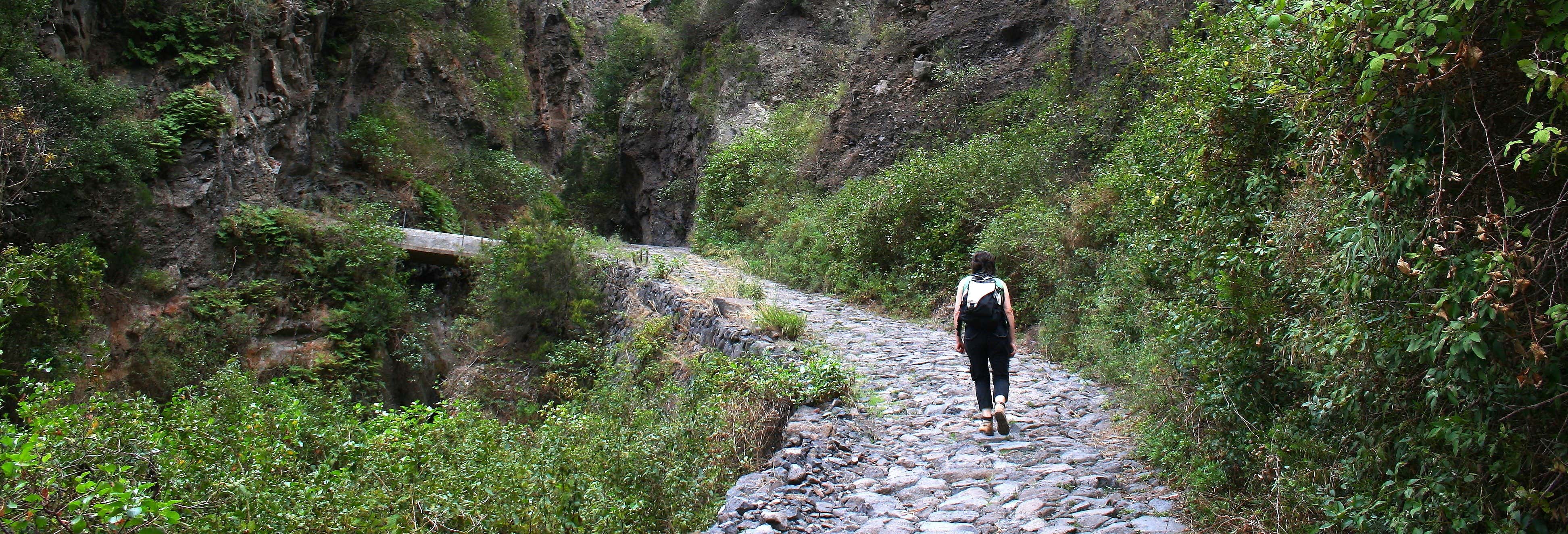 Visitas guiadas y free tours en Güímar