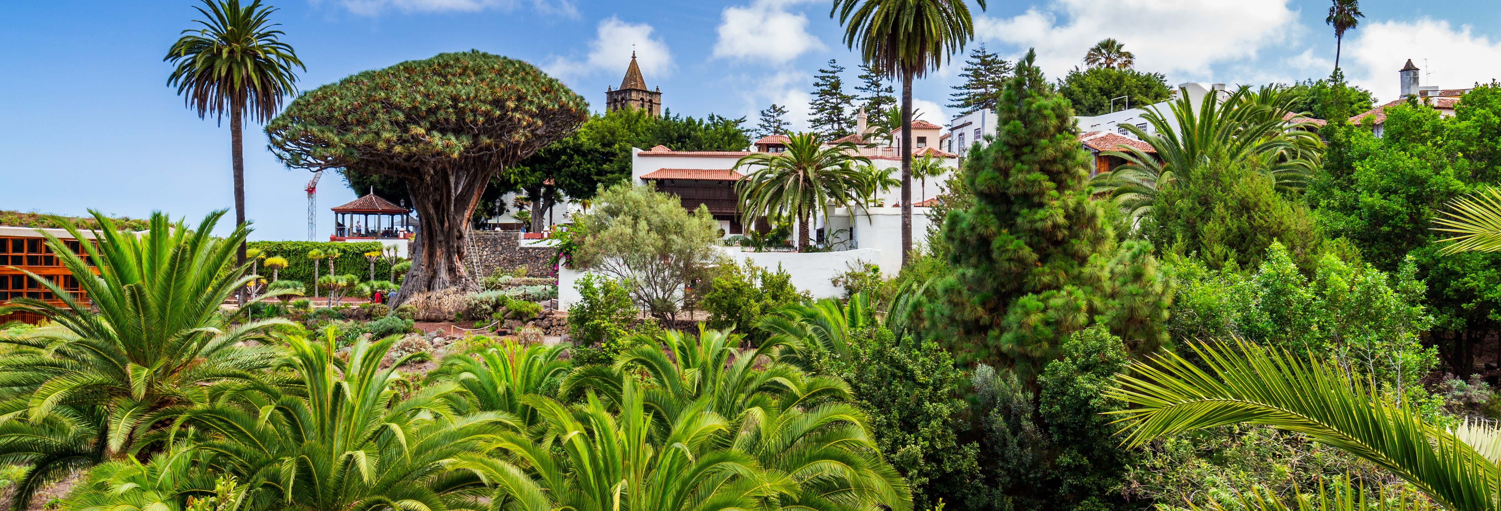 Entradas en Icod de los Vinos