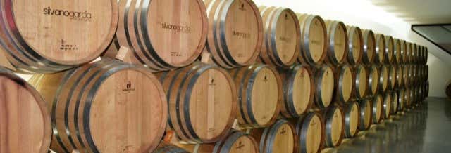 Gastronomía y enoturismo en Jumilla