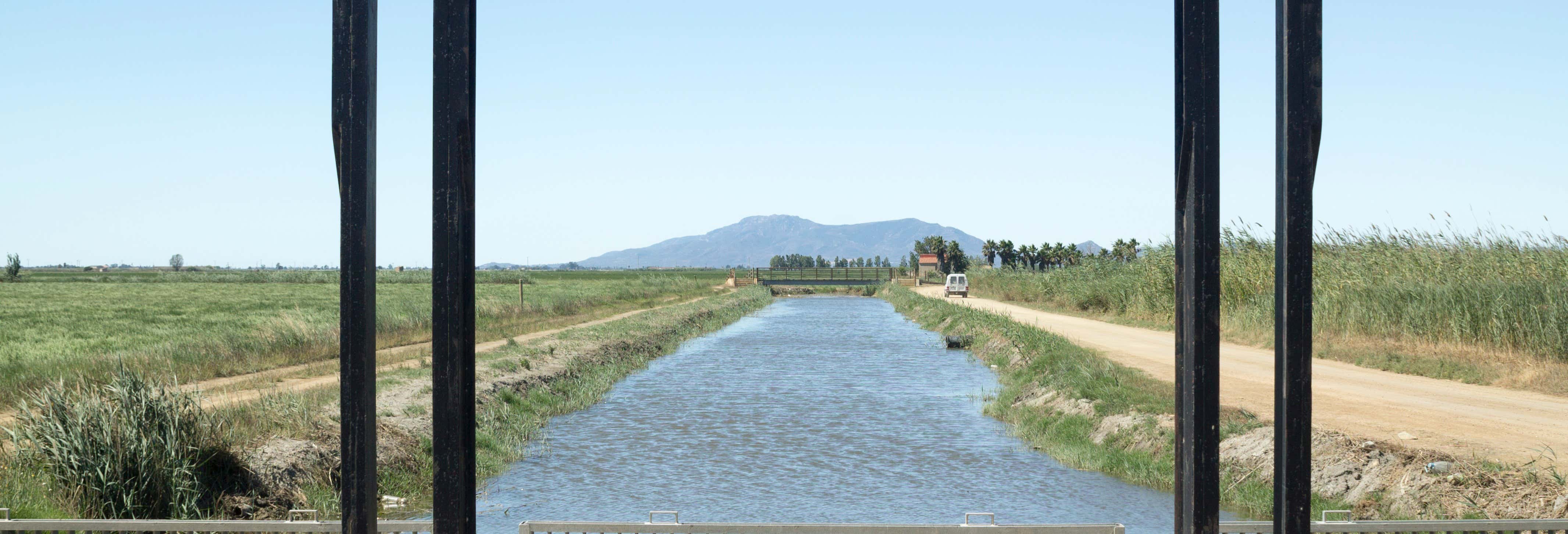 Accion y naturaleza en L'Ampolla