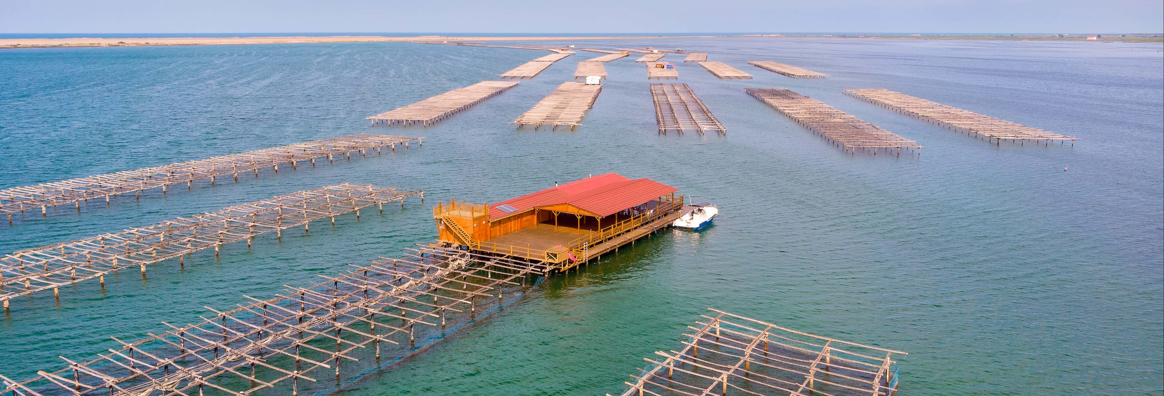 Paseos en barco en L'Ampolla