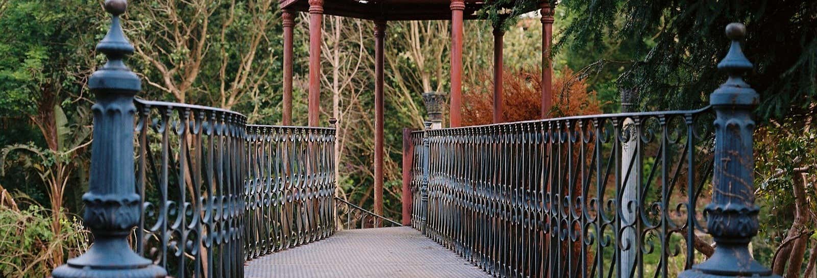 Visitas guiadas y free tours en Luarca