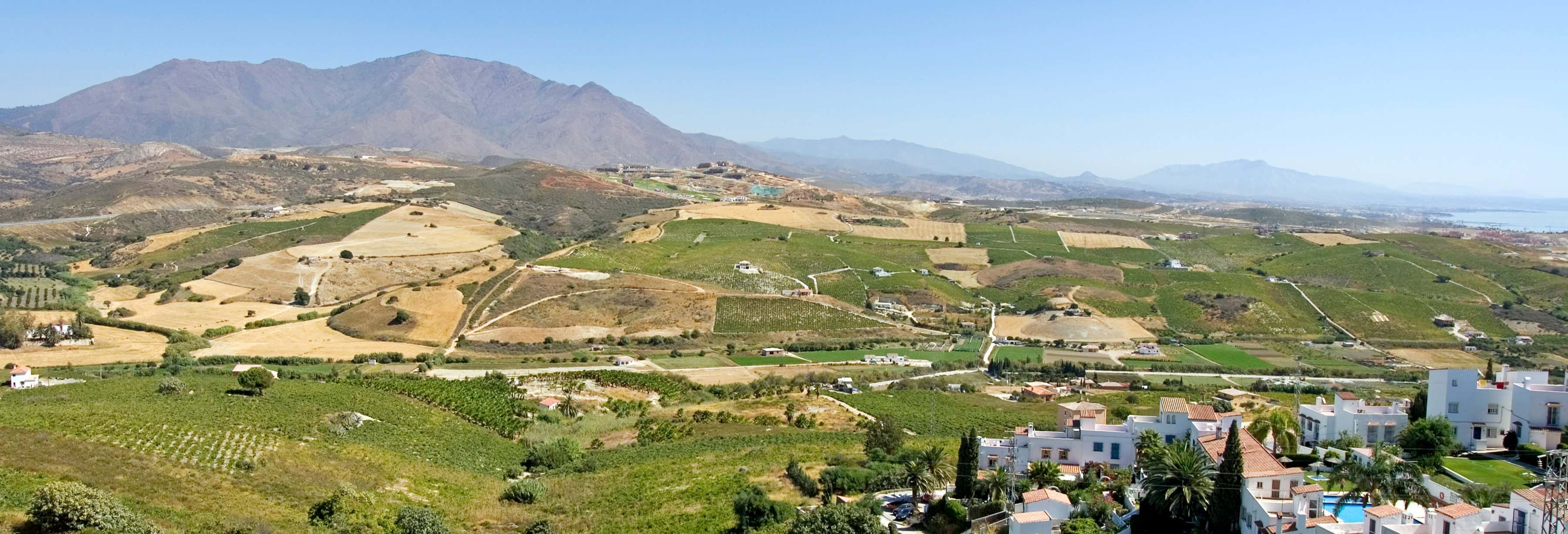 Gastronomía y enoturismo en Manilva