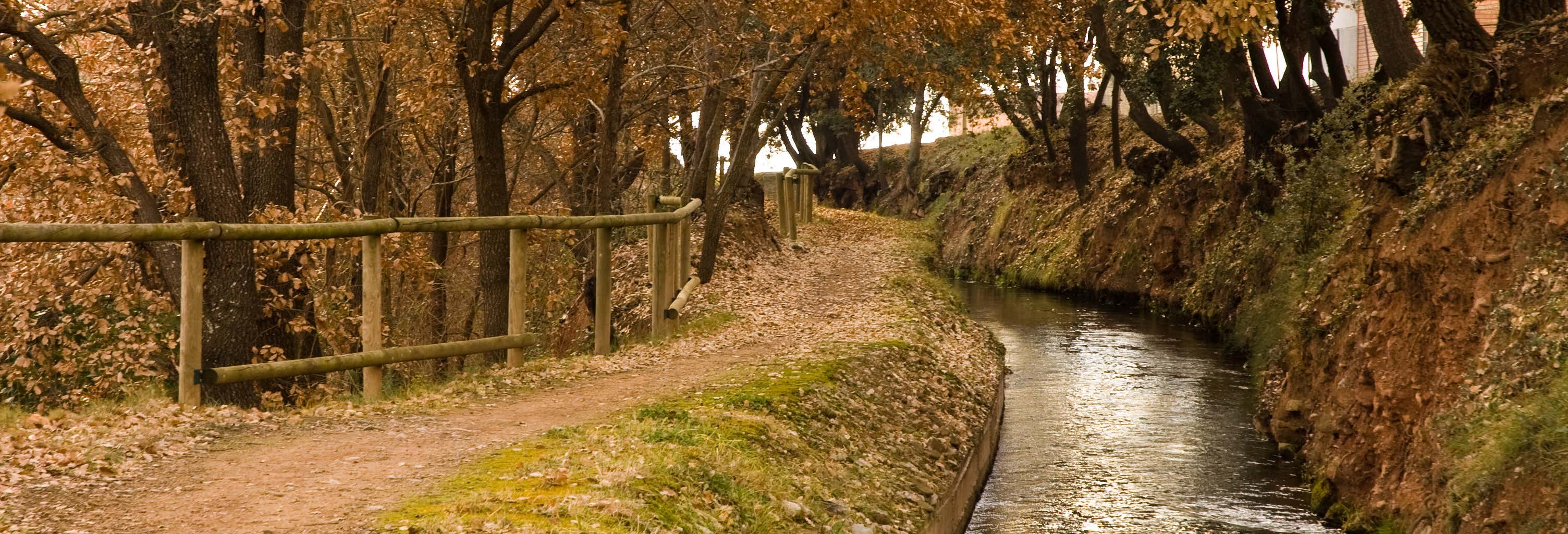 Visitas guiadas y free tours en Manresa