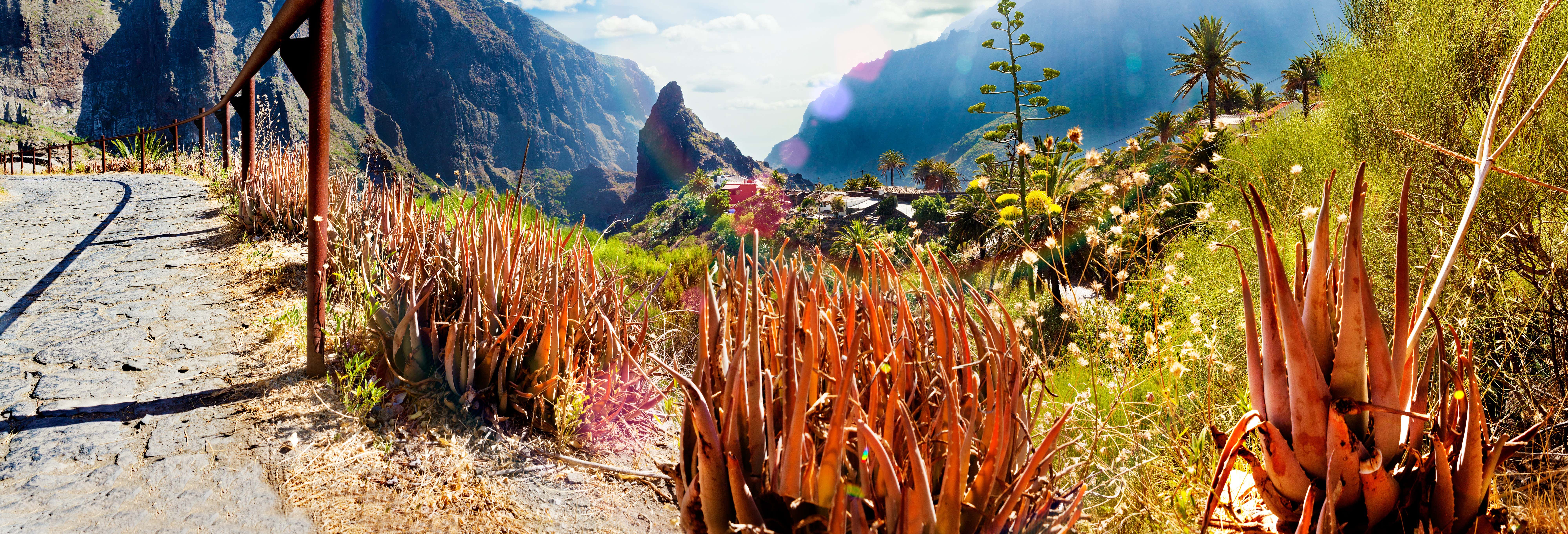 Visitas guiadas y free tours en Masca