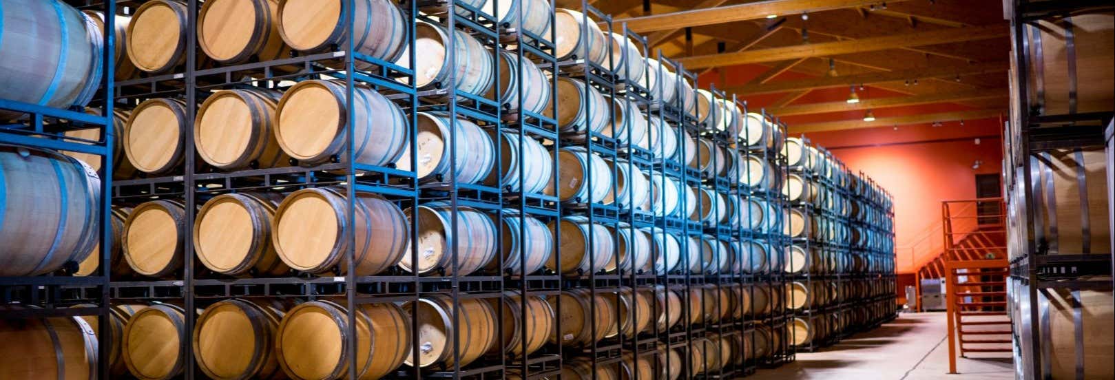 Gastronomía y enoturismo en Medina del Campo