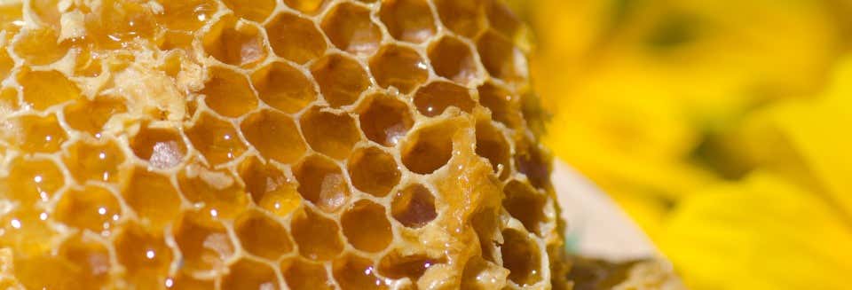 Visitas guiadas y free tours en Montroy