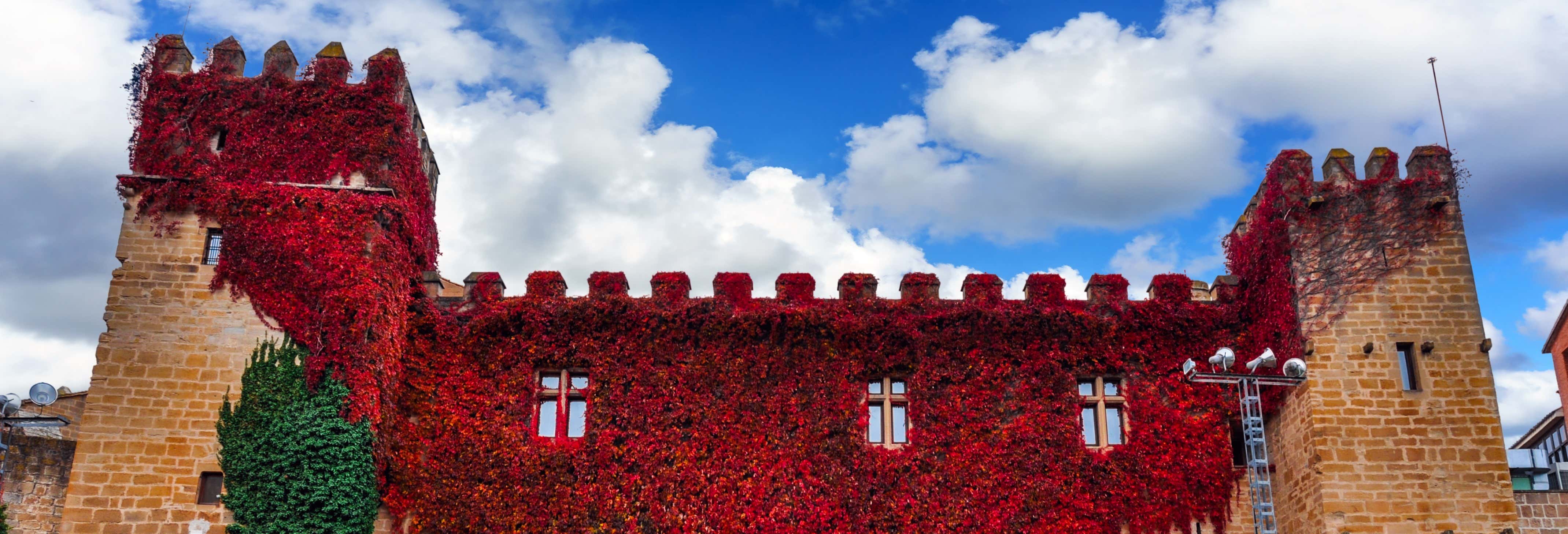 Visitas guiadas y free tours en Olite