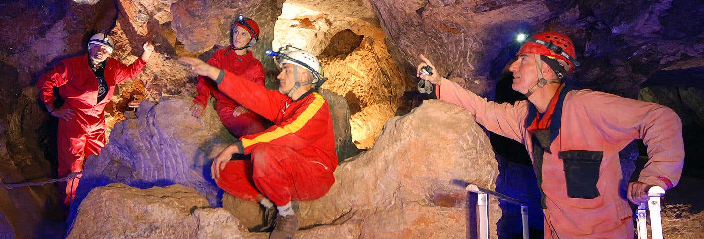 Visitas guiadas y free tours en Osa de la Vega