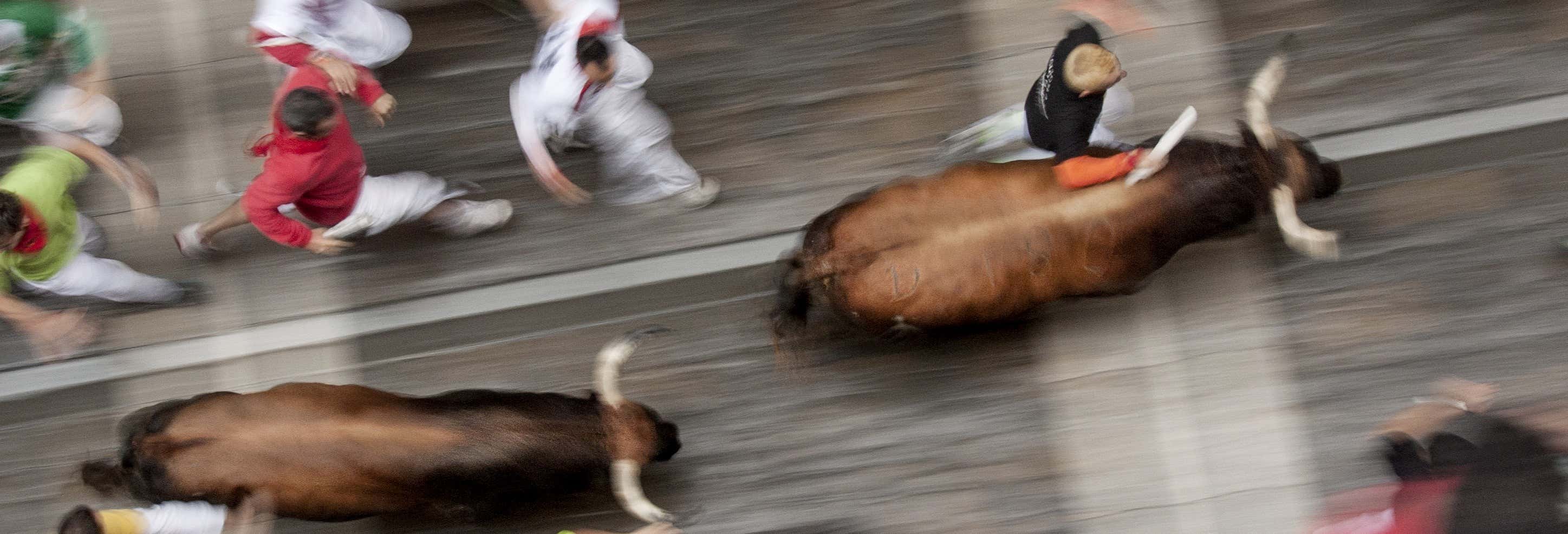 Visitas guiadas y free tours en Pamplona