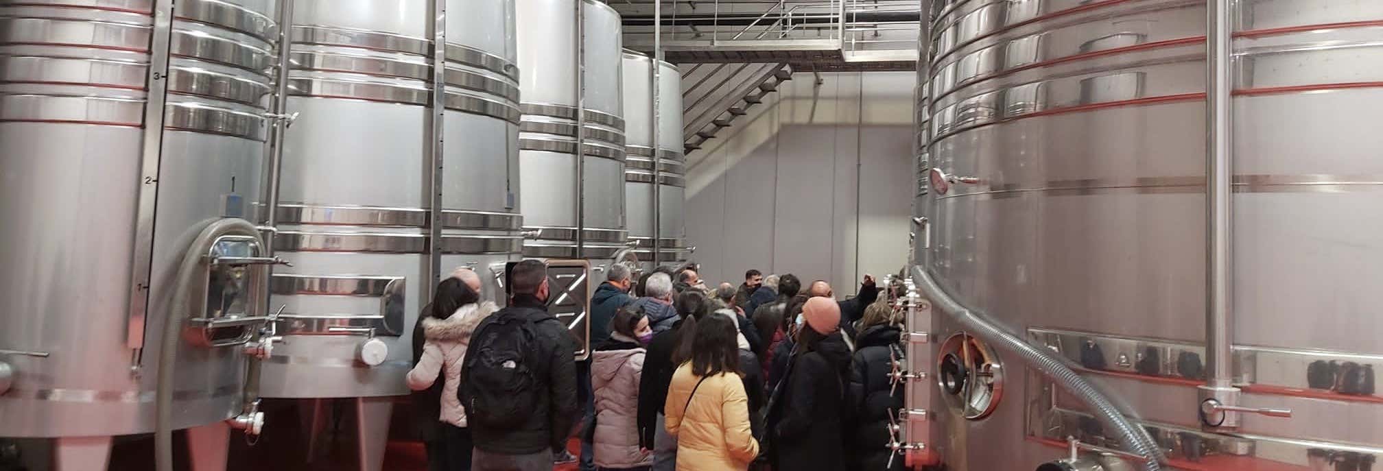 Gastronomía y enoturismo en Peñafiel