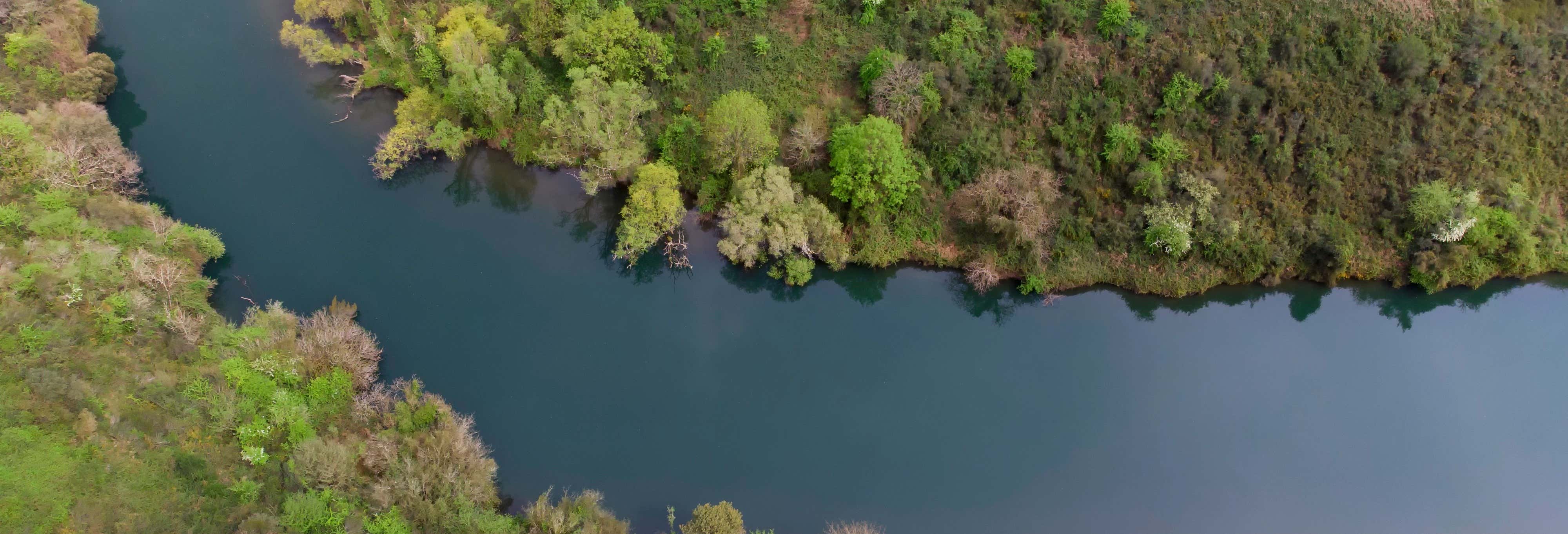 Accion y naturaleza en Priañes