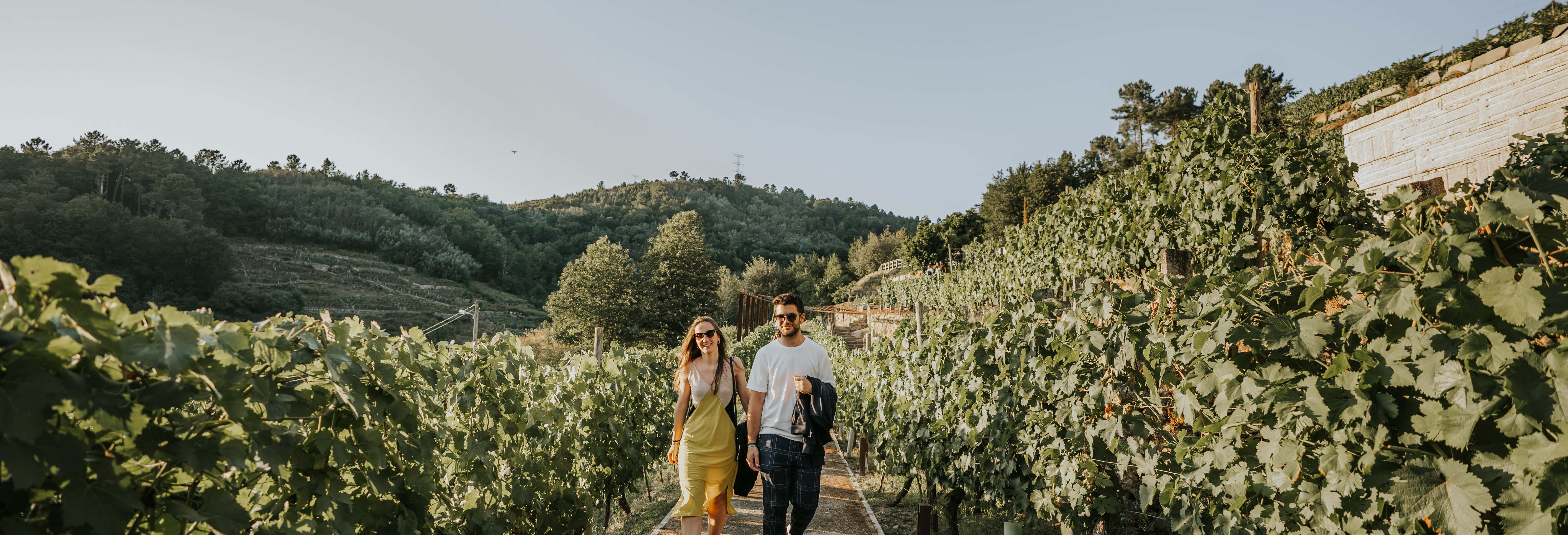 Gastronomía y enoturismo en Ribadavia