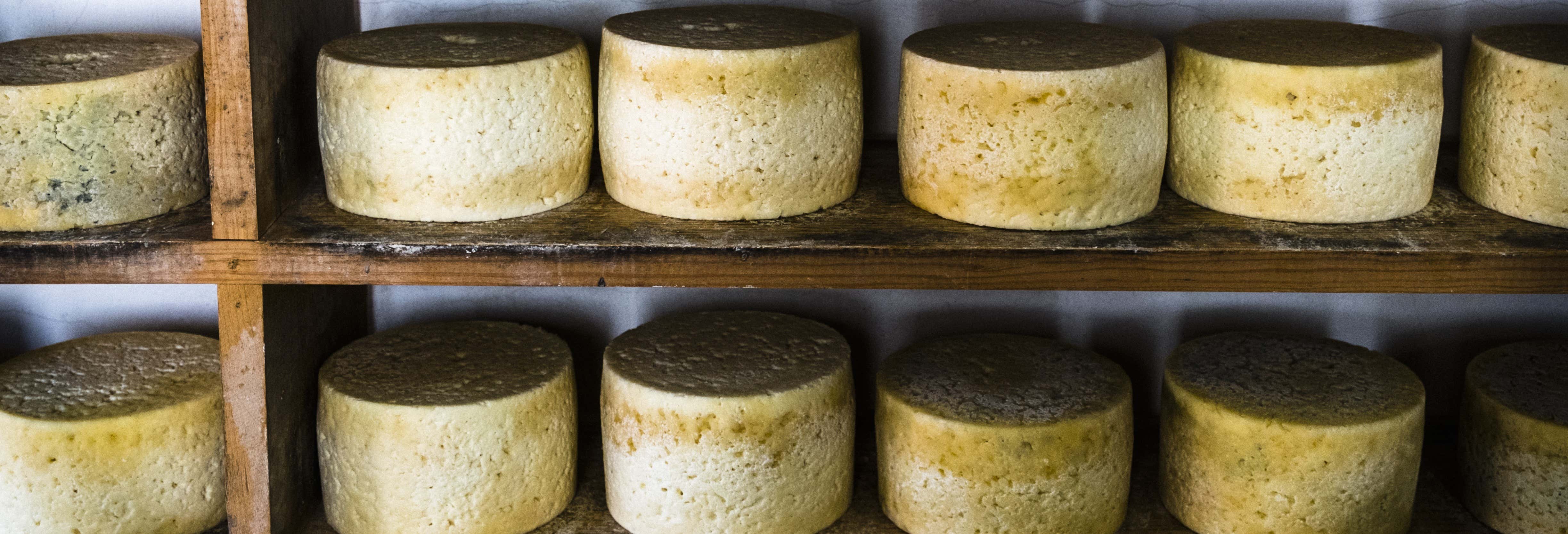 Gastronomía y enoturismo en Ribadesella