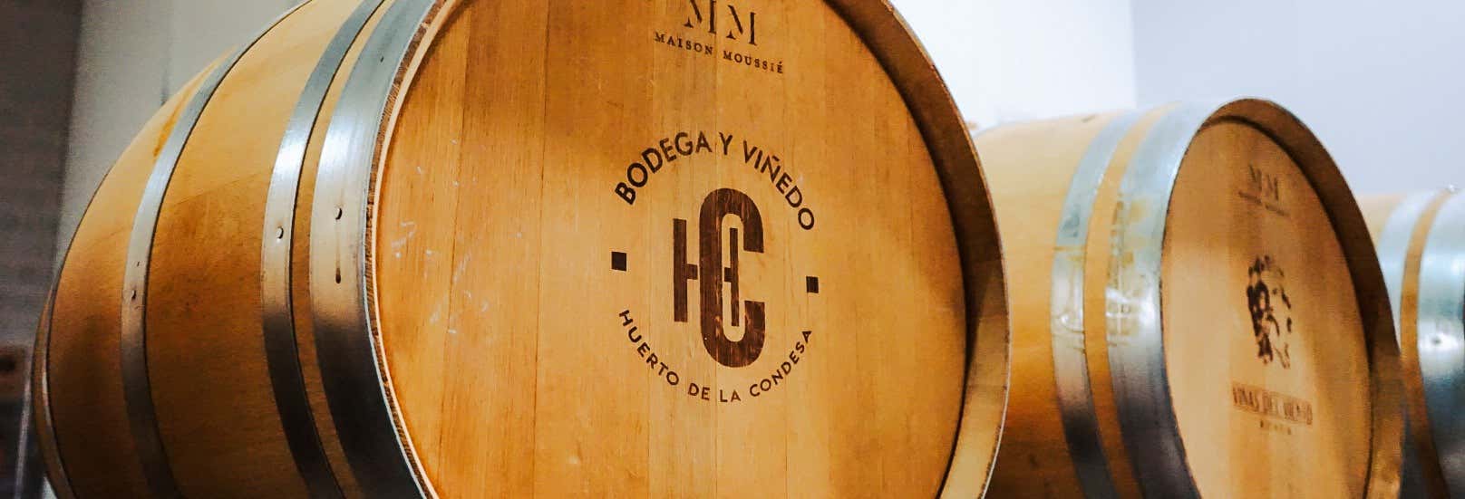 Excursiones de un día en Ronda