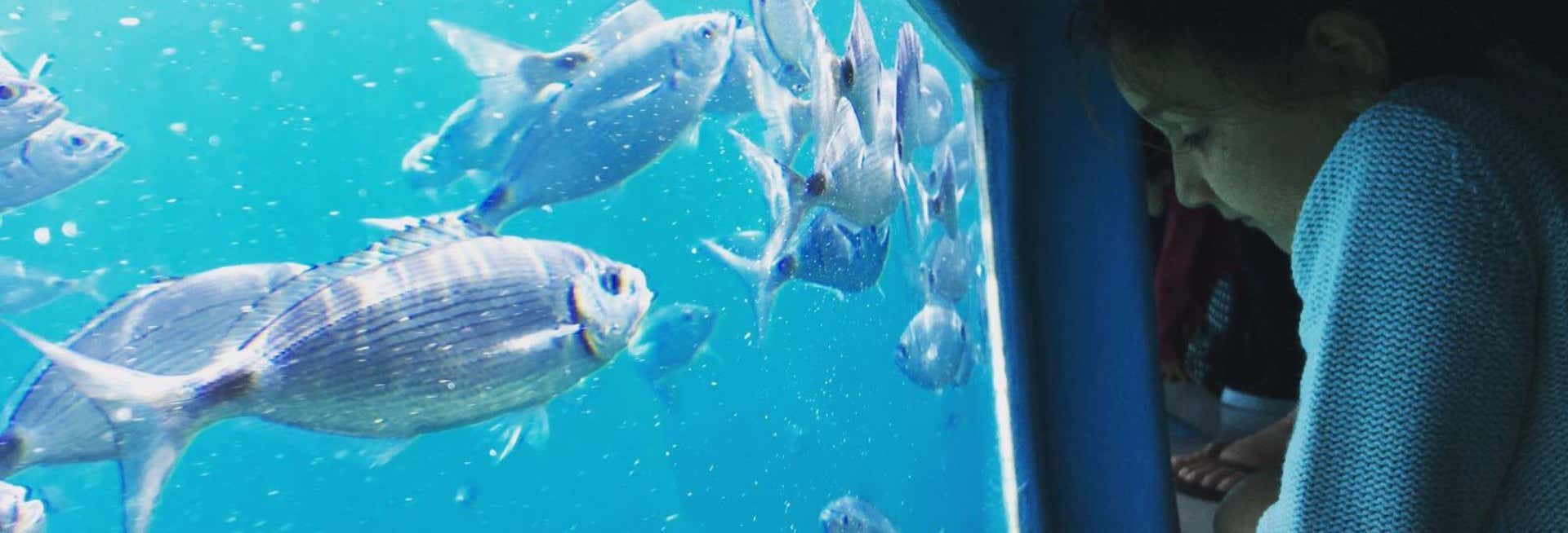 Paseos en barco en Rosas