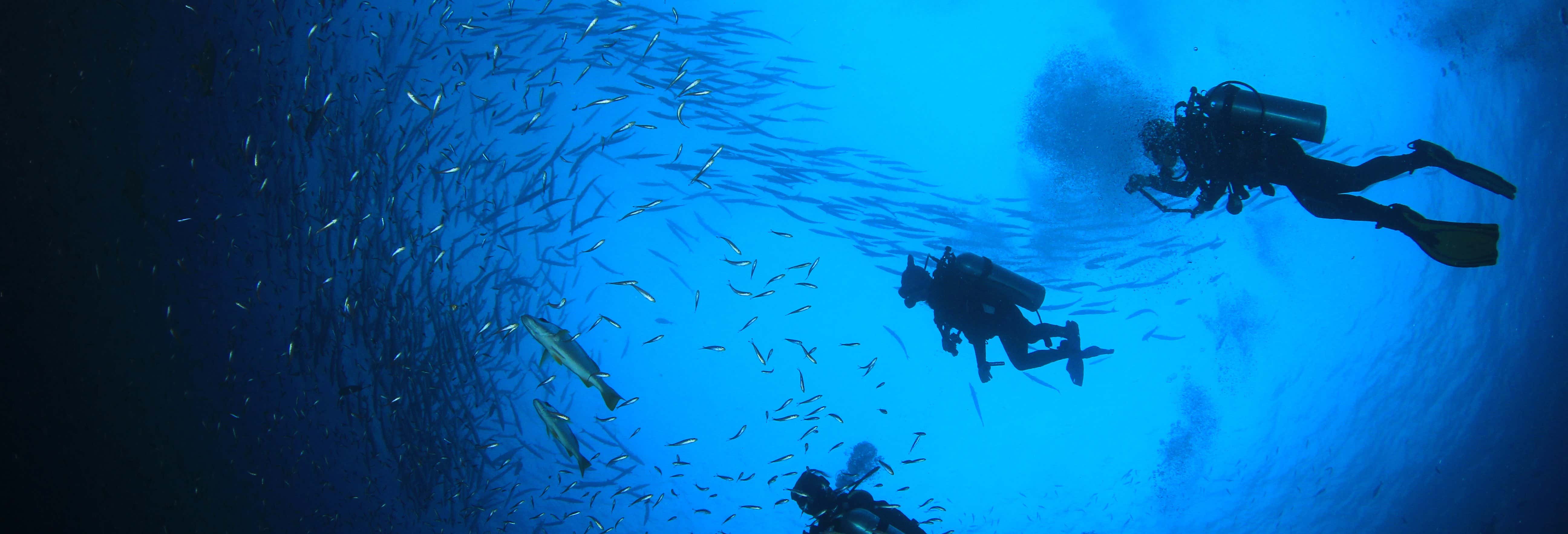 Accion y naturaleza en Salou