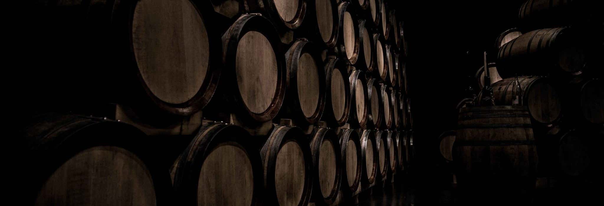 Gastronomía y enoturismo en Samaniego