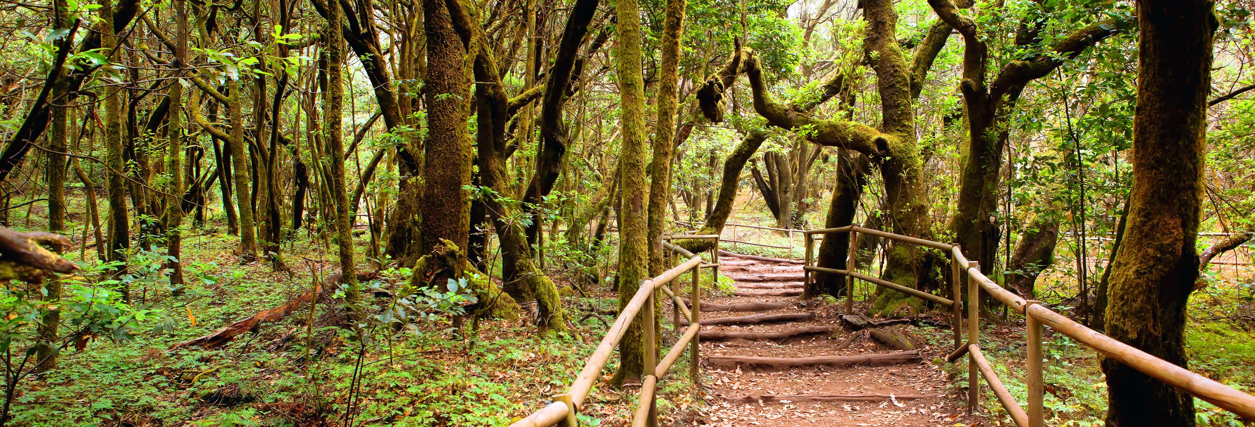 Accion y naturaleza en San Sebastián de La Gomera