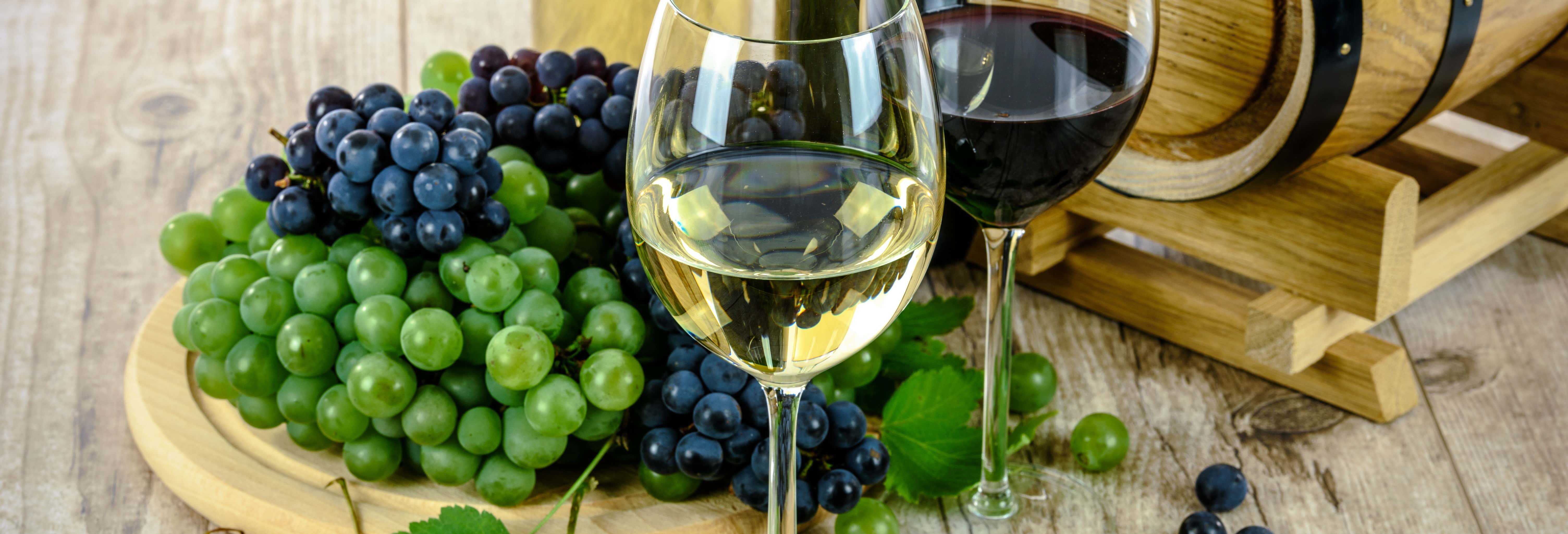 Gastronomía y enoturismo en Sevilla