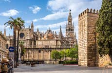Visite de la cathédrale et de l'église du Sauveur