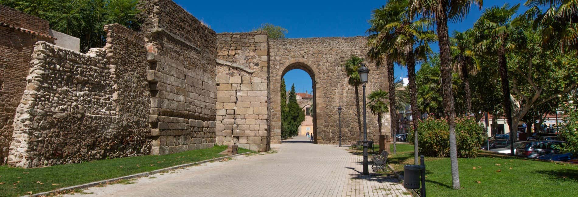 Visitas guiadas y free tours en Talavera de la Reina